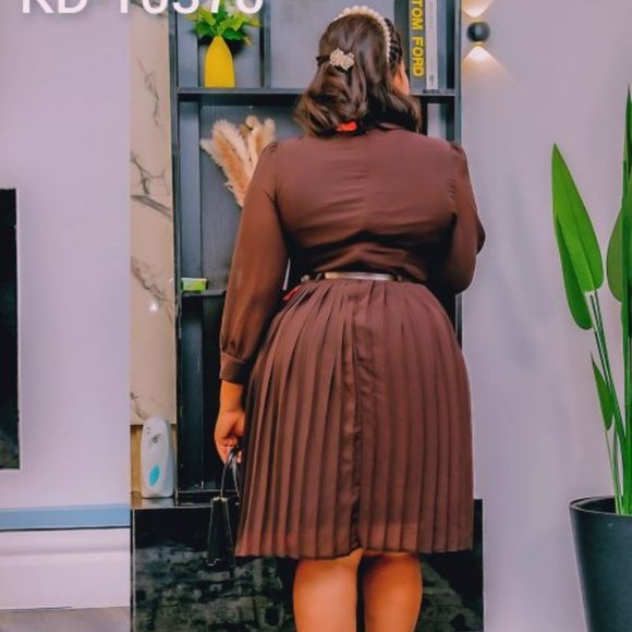 NWT - Brown/Orange Color Block Pleated Dress - Picture 4 of 4